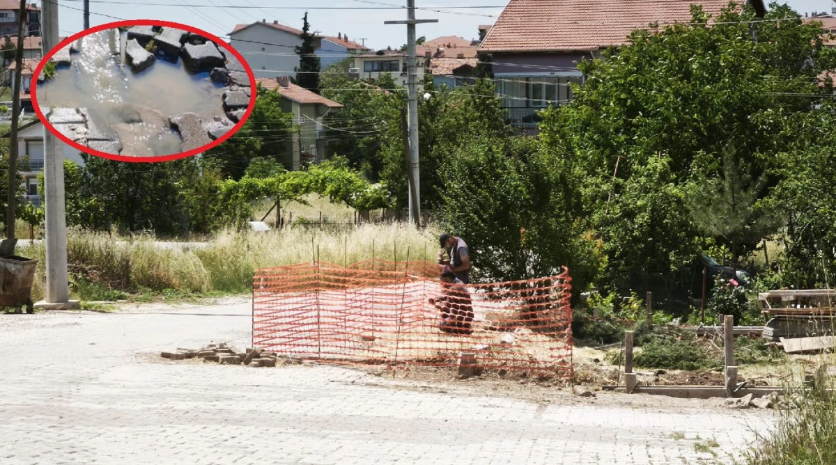 DİLEK MAHALLESİNİN SORUNLARI NEDEN &Ccedil;&Ouml;Z&Uuml;LM&Uuml;YOR