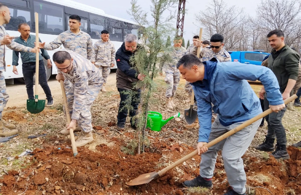 HATIRA ORMANINA FİDAN DİKİLDİ