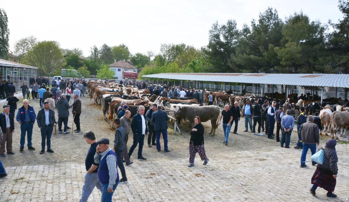 HAYVAN PAZARI NİHAYET A&Ccedil;ILIYOR