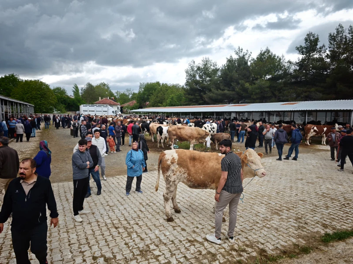HAYVAN PAZARINDA HAREKETLİLİK YAŞANIYOR