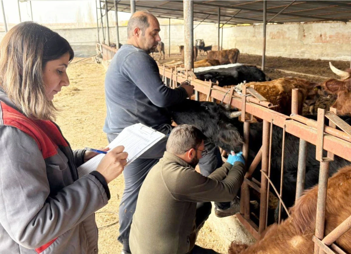 İL&Ccedil;EMİZDE ARİ İŞLETME DENETİMLERİ YOĞUN BİR ŞEKİLDE S&Uuml;RD&Uuml;R&Uuml;L&Uuml;YOR