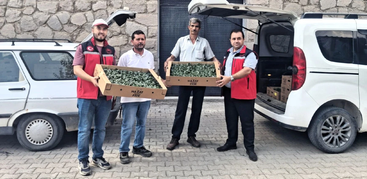 İL&Ccedil;EMİZDE &Ccedil;İFT&Ccedil;İLERE HİBE FİDAN DAĞITILDI