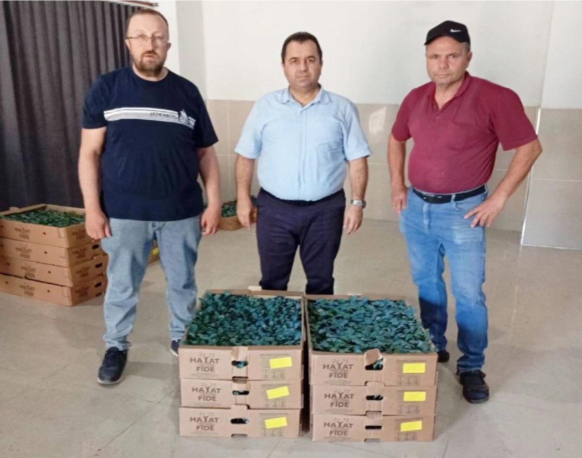 İL&Ccedil;EMİZDE &Uuml;RETİCİLERE %75 HİBELİ FİDE DESTEĞİ
