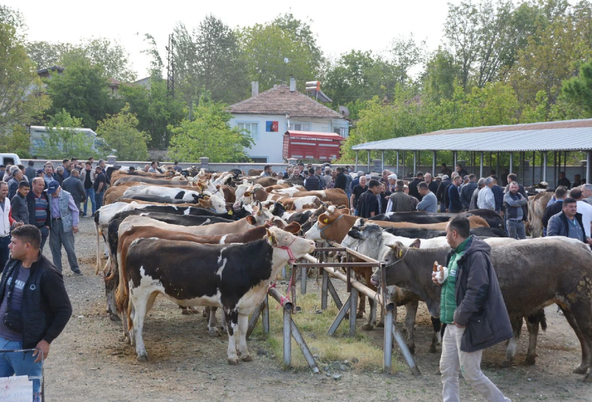 KAYMAKAMLIKTAN BAYRAM DUYURUSU