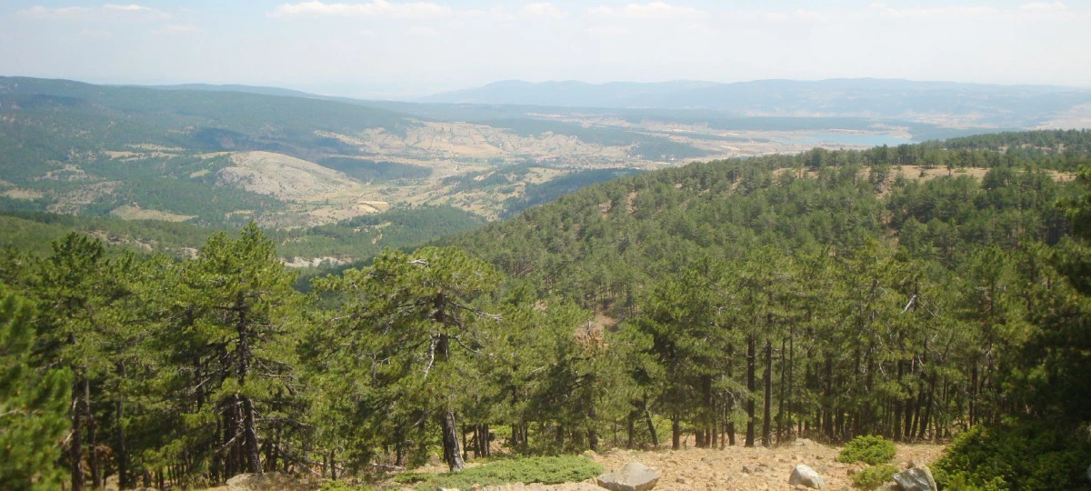 ORMANLARA GİRİŞ YASAKLANDI