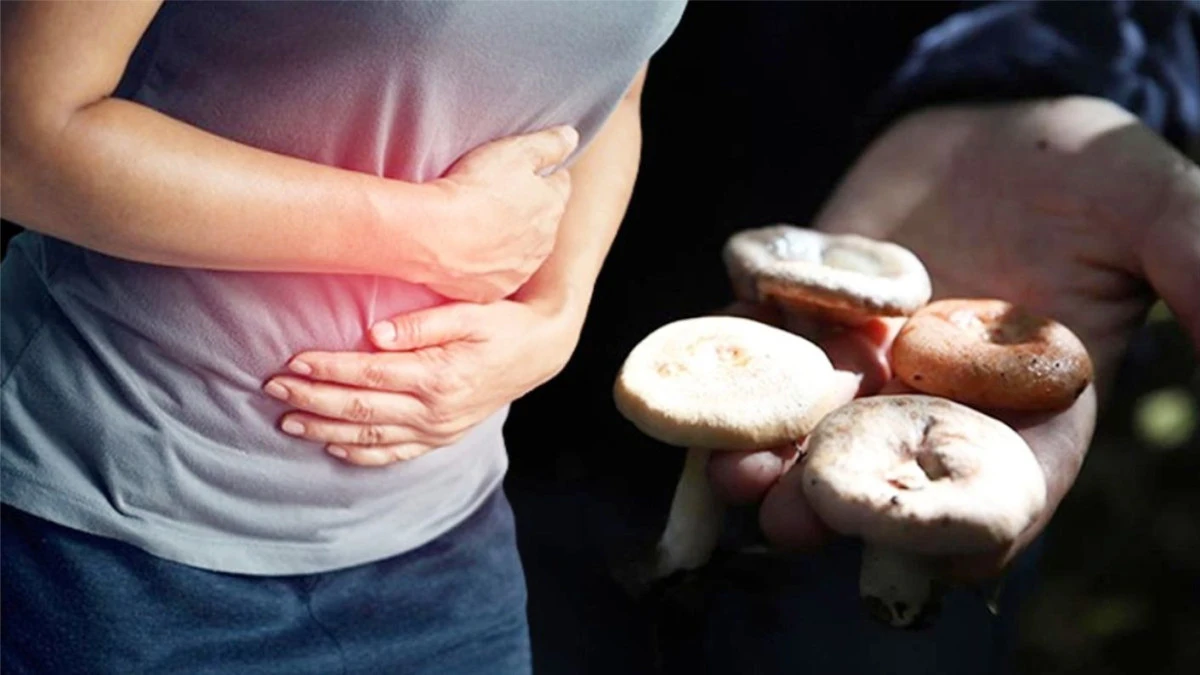 UŞAK SAĞLIK M&Uuml;D&Uuml;RL&Uuml;Ğ&Uuml;&rsquo;NDEN MANTAR ZEHİRLENMELERİ UYARISI