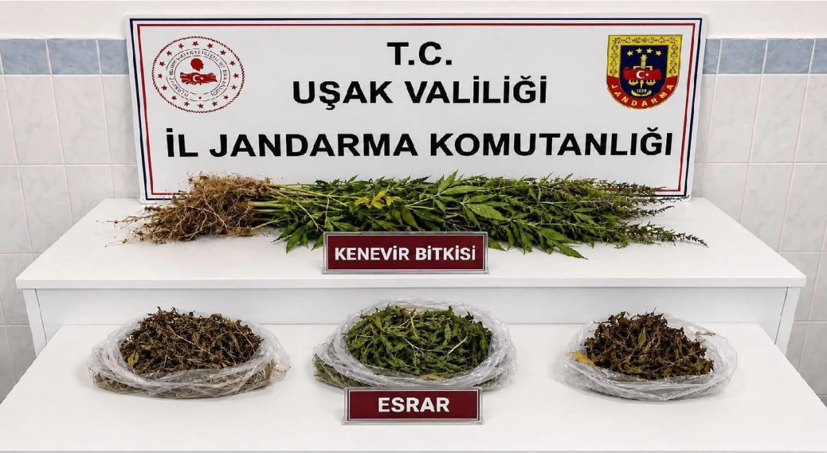 UYUŞTURUCU VE KA&Ccedil;AK T&Uuml;T&Uuml;N OPERASYONU