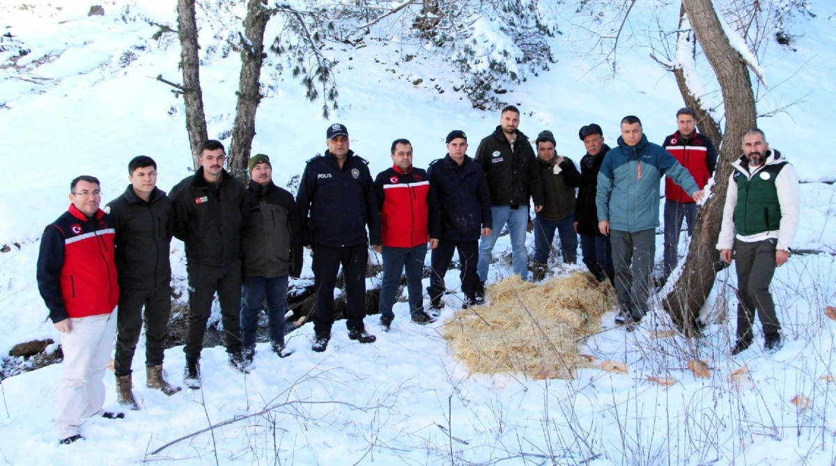 YABAN HAYVANLARINA YEM BIRAKILDI