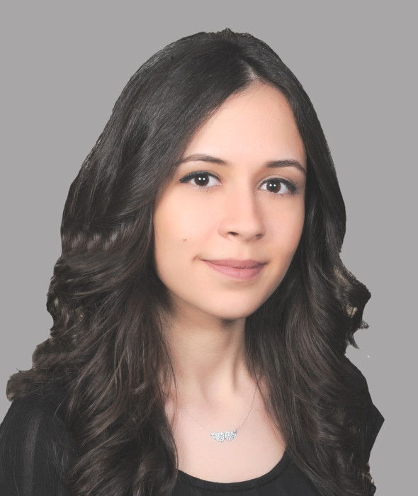 M. G&uuml;lem G&Uuml;NG&Ouml;R